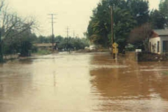1980_julian_ave