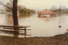 1980_lindo_bench