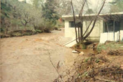 1980_los_coches_home