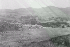 lakeview_area
