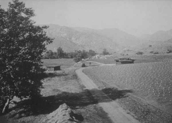 Thum Cactus Ranch c. Unknown