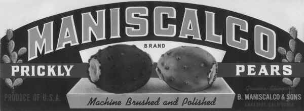 Maniscalco Prickly Pears